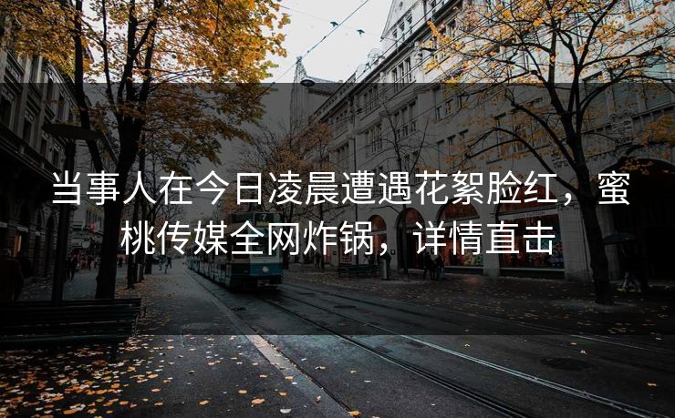 当事人在今日凌晨遭遇花絮脸红，蜜桃传媒全网炸锅，详情直击