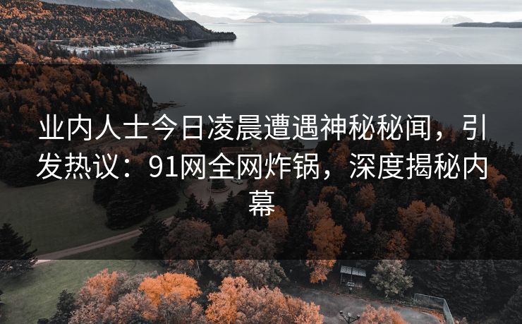 业内人士今日凌晨遭遇神秘秘闻，引发热议：91网全网炸锅，深度揭秘内幕
