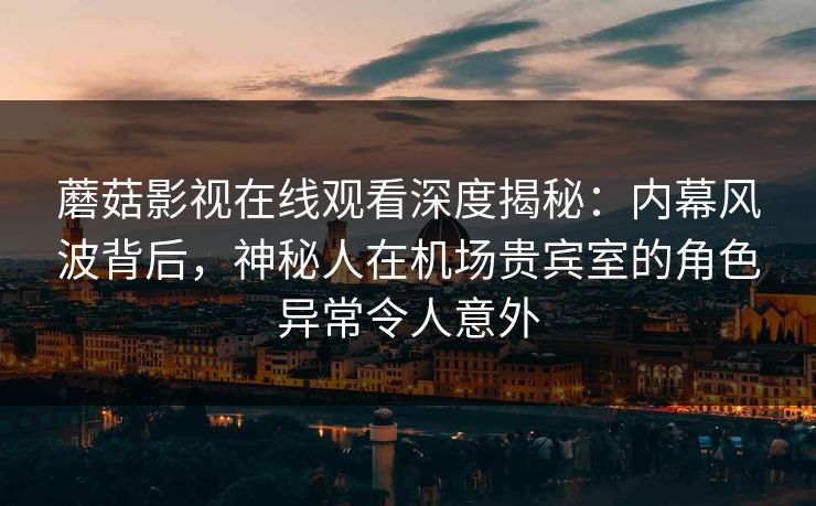 蘑菇影视在线观看深度揭秘:内幕风波背后,神秘人在机场贵宾室的角色异常令人意外 蘑菇影视在线观看深度揭秘:内幕风波背后,神秘人在机场贵宾室的角色异常令人意外