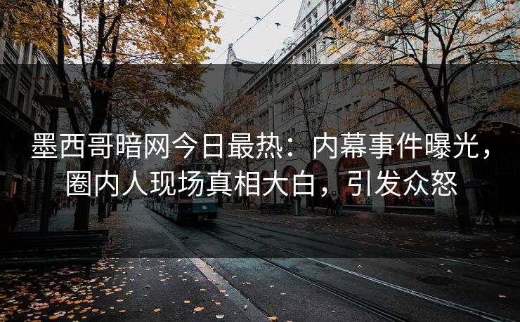 墨西哥暗网今日最热：内幕事件曝光，圈内人现场真相大白，引发众怒