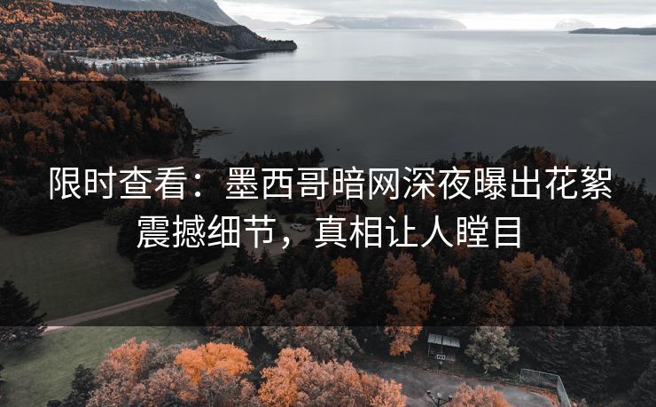限时查看：墨西哥暗网深夜曝出花絮震撼细节，真相让人瞠目