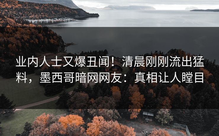 业内人士又爆丑闻！清晨刚刚流出猛料，墨西哥暗网网友：真相让人瞠目
