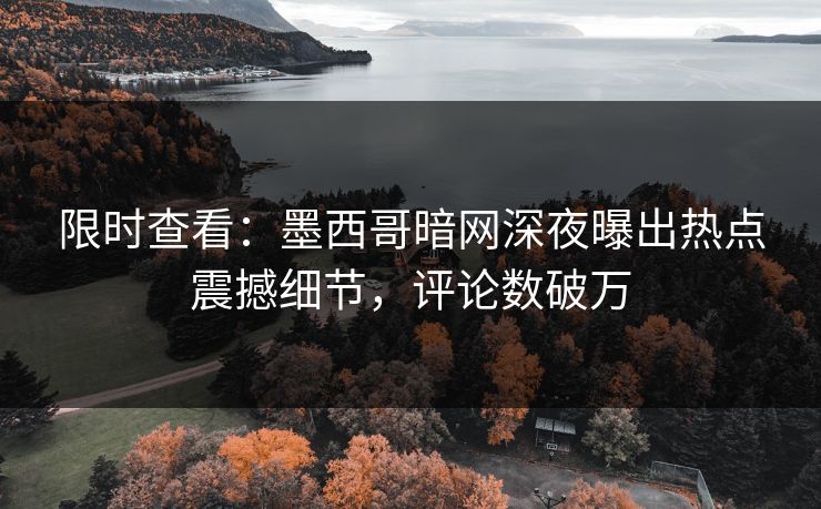 限时查看：墨西哥暗网深夜曝出热点震撼细节，评论数破万