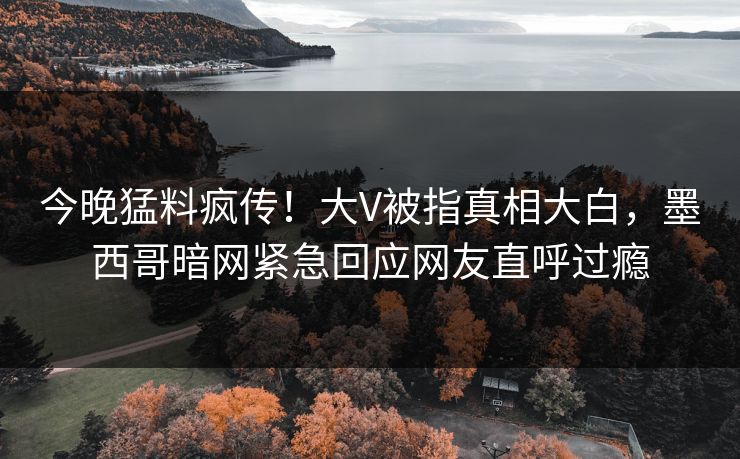 今晚猛料疯传！大V被指真相大白，墨西哥暗网紧急回应网友直呼过瘾