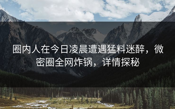 圈内人在今日凌晨遭遇猛料迷醉，微密圈全网炸锅，详情探秘
